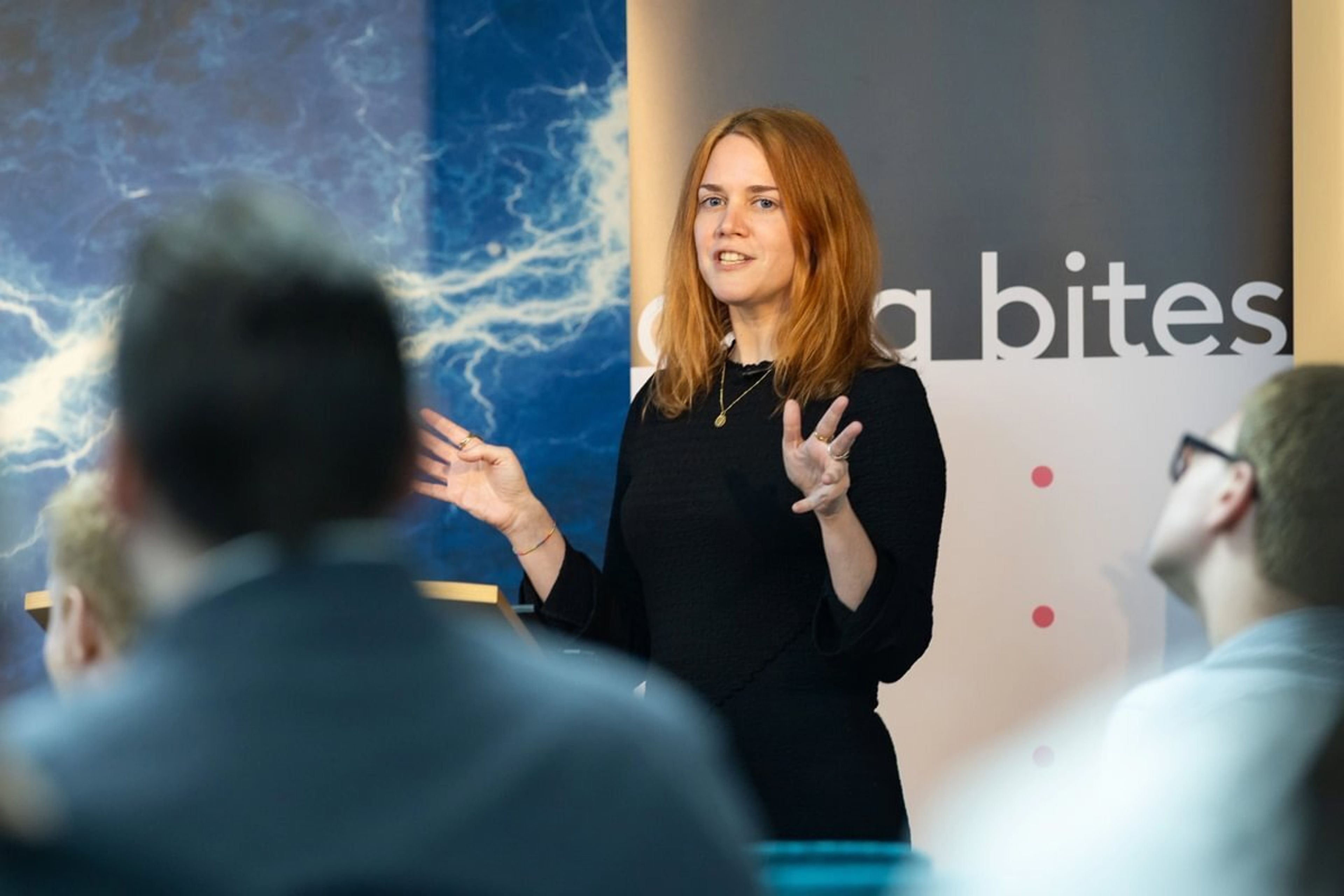 A woman is talking to the audience with a data bites banner behind her