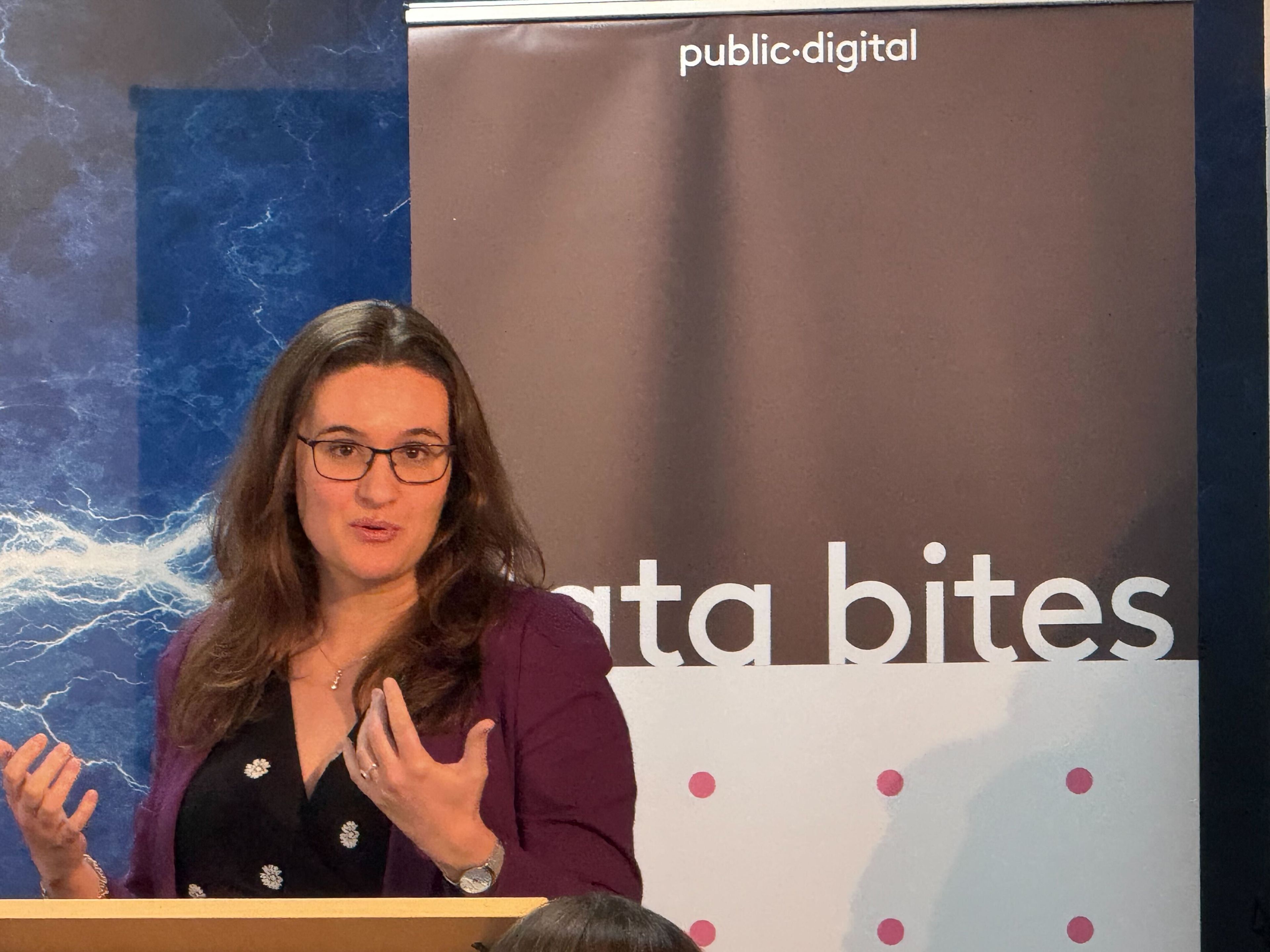 Martine Wauben giving her Data Bites presentation