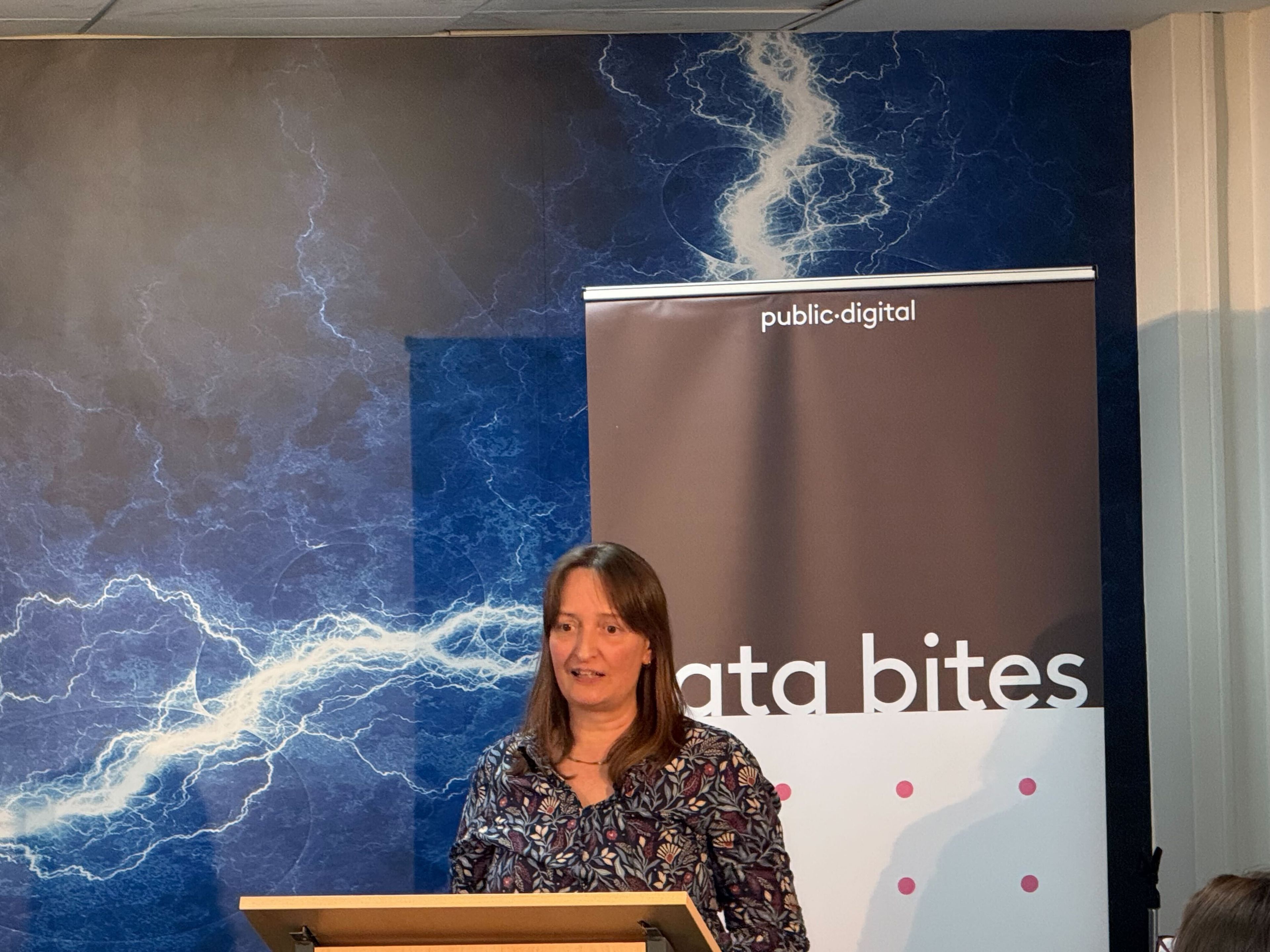 Michelle Waters giving her Data Bites presentation
